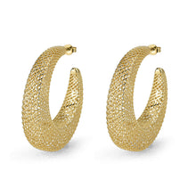 Load image into Gallery viewer, 4W020 - Earring, Brass, Imitation Gold, , No Stone