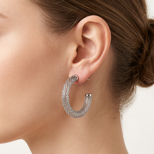 Load image into Gallery viewer, 4W049 - Earring, Brass, Imitation Rhodium , No Stone