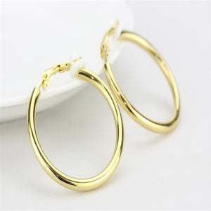 LO4682 - Gold Brass Earrings with No Stone