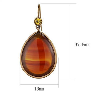 TK2575 - IP Coffee light Stainless Steel Earrings with Semi-Precious Agate in Siam