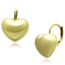 Load image into Gallery viewer, TK1128 - IP Gold(Ion Plating) Stainless Steel Earrings with No Stone