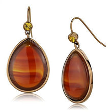 Load image into Gallery viewer, TK2575 - IP Coffee light Stainless Steel Earrings with Semi-Precious Agate in Siam