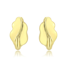 Load image into Gallery viewer, 3W1733G - Flash Gold Brass Earring with NoStone in No Stone
