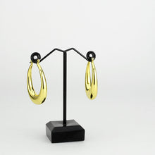 Load image into Gallery viewer, 3W1749G - Flash Gold Brass Earring with NoStone in No Stone