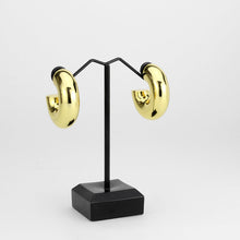 Load image into Gallery viewer, 3W1751G - Flash Gold Brass Earring with NoStone in No Stone