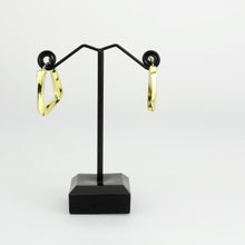 Load image into Gallery viewer, 3W1759G - Flash Gold Brass Earring with NoStone in No Stone