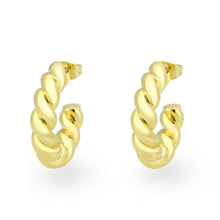 Load image into Gallery viewer, 3W1761G - Flash Gold Brass Earring with NoStone in No Stone