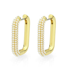 Load image into Gallery viewer, 3W1777 - Flash Gold Brass Earring with Synthetic in White