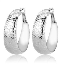Load image into Gallery viewer, 3W1397 - Rhodium Brass Earrings with No Stone