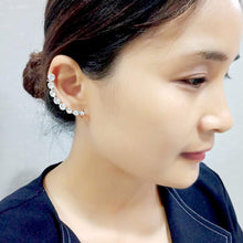 Load image into Gallery viewer, 3W1635 - High polished (no plating) Stainless Steel Earring with Top Grade Crystal in Clear
