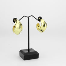 Load image into Gallery viewer, 3W1739G - Flash Gold Brass Earring with NoStone in No Stone