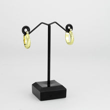 Load image into Gallery viewer, 3W1745G - Flash Gold Brass Earring with NoStone in No Stone