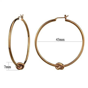 TK2853 - IP Coffee light Stainless Steel Earrings with No Stone