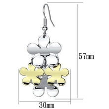 Load image into Gallery viewer, LO2686 - Gold+Rhodium Iron Earrings with No Stone