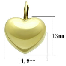Load image into Gallery viewer, TK1128 - IP Gold(Ion Plating) Stainless Steel Earrings with No Stone