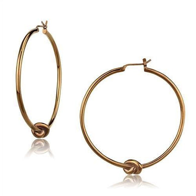TK2853 - IP Coffee light Stainless Steel Earrings with No Stone