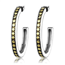 Load image into Gallery viewer, TK2891 - Two-Tone IP Gold (Ion Plating) Stainless Steel Earrings with Epoxy  in Jet